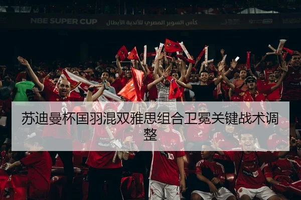 苏迪曼杯国羽混双雅思组合卫冕关键战术调整