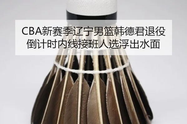 CBA新赛季辽宁男篮韩德君退役倒计时内线接班人选浮出水面