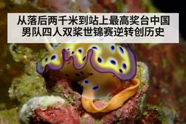 从落后两千米到站上最高奖台中国男队四人双桨世锦赛逆转创历史