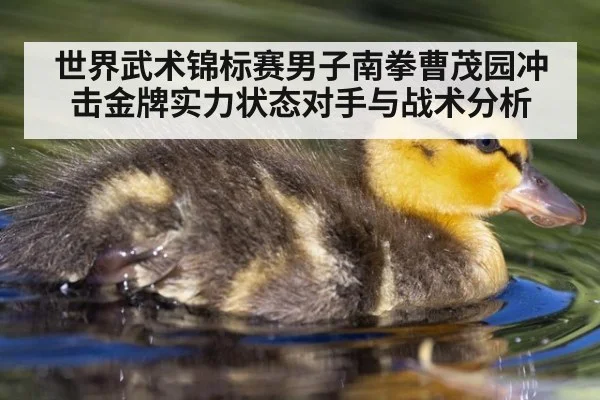 世界武术锦标赛男子南拳曹茂园冲击金牌实力状态对手与战术分析