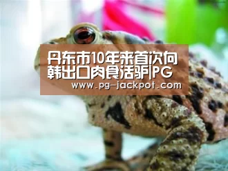 丹东市10年来首次向韩出口肉食活驴|PG棋牌
